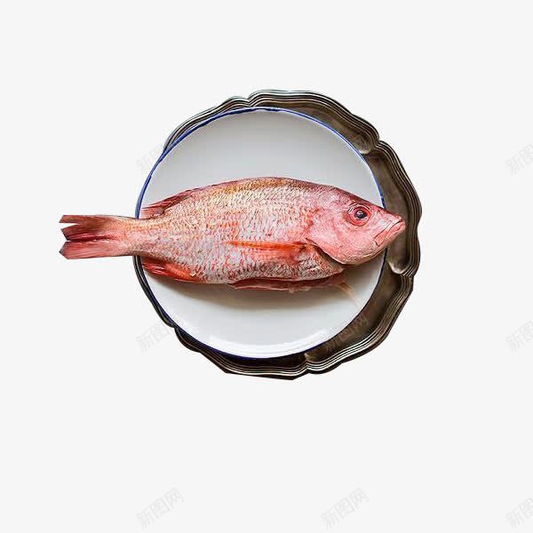 一条草鱼png免抠素材_88icon https://88icon.com 健康 实物 营养