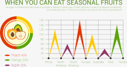 季节性水果信息图表矢量图素材