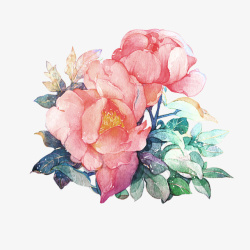 手绘粉色花朵插画素材