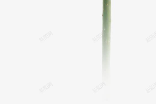 创意海报植物花朵粉色png免抠素材_88icon https://88icon.com 创意 植物 海报 粉色 花朵