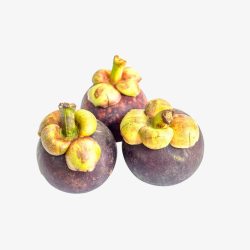 三只新鲜的山竹素材