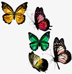 彩色蝴蝶背景素材