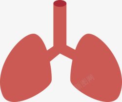 人体的红色肺部器官素材