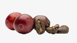 暗红色咖啡果和咖啡豆实物素材