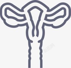 Uterus子宫OutlineSmashicons图标高清图片