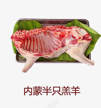 内蒙羔羊psd免抠素材_88icon https://88icon.com 羊肉 羔羊 肉 食材