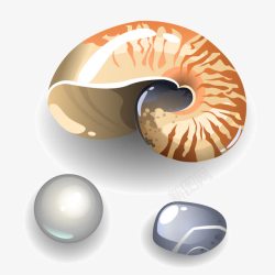 海贝与鹅卵石素材