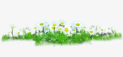 白色清新花朵春日植物png免抠素材_88icon https://88icon.com 春日 植物 清新 白色 花朵