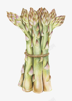 卡通手绘蔬菜装饰海报素材