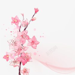水彩粉色的花素材