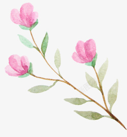 树枝上粉色的花朵素材