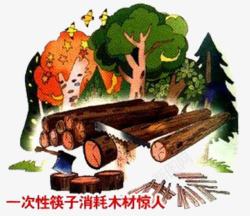 一次性筷子消耗木材惊人素材