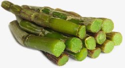 绿色甘蔗植物素材