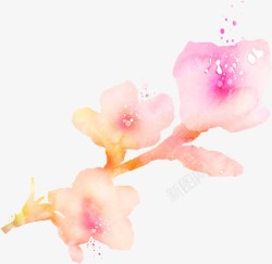 手绘水彩可爱粉色花朵素材