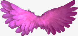 紫红色翅膀装饰图素材
