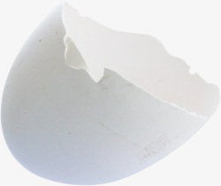 白色破壳鸡蛋壳素材