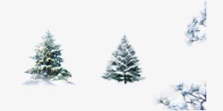冬季雪中树素材