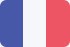 法国195平的标志PSD图标图标
