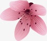花式png免抠素材_88icon https://88icon.com 一朵花 新鲜的花朵 粉色的花 花朵花卉