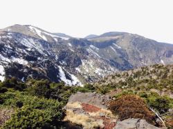 济州岛汉拿山旅游景区济州岛汉拿山高清图片