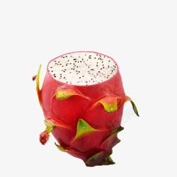 红色火龙果素材