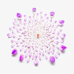 紫色清新花瓣边框纹理素材