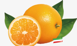 鲜橙水果素材