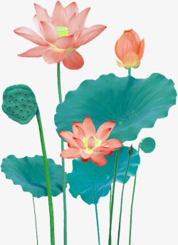 粉色中国风荷花装饰图案素材