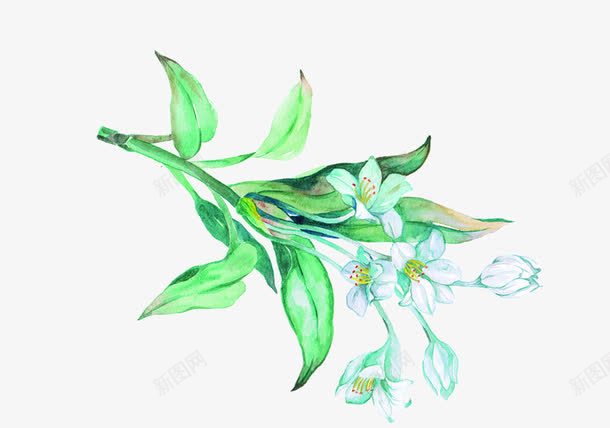 效果教师节创意海报花朵植物png免抠素材_88icon https://88icon.com 创意 效果 教师节 植物 海报 花朵