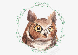 手绘猫头鹰素材