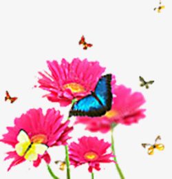 蝴蝶粉色梦幻花纹花朵素材