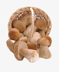 篮框里的蘑菇素材