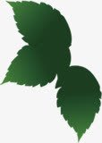 绿色手绘树叶装饰海报素材