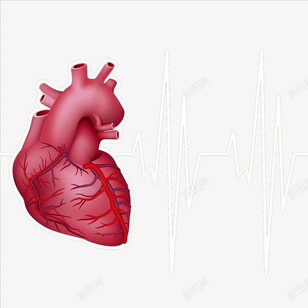 心的跳动png免抠素材_88icon https://88icon.com 心率 心率波动 心电图 心跳 搏动 波动 波形 浮动 跳动 震动