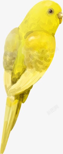 手绘黄色可爱小鸟素材