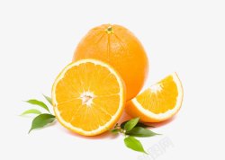 橙子水果桔子素材