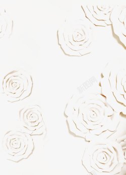 白色花背景图素材