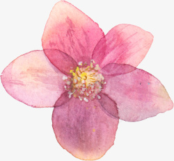 水彩手绘粉色花朵素材