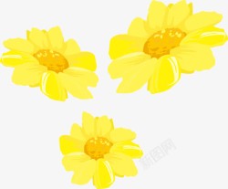 3朵黄色向日葵花朵图素材