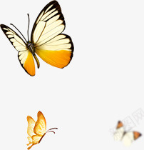 黄色蝴蝶飞舞淘宝促销png免抠素材_88icon https://88icon.com 促销 蝴蝶 飞舞 黄色