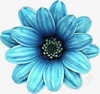 蓝色卡通植物花朵素材