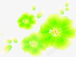 绿色烂漫花朵美景素材