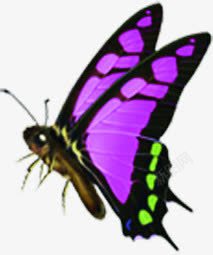 紫色手绘蝴蝶创意素材