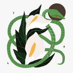 蛇PNG图蛇和白鹤芋矢量图高清图片