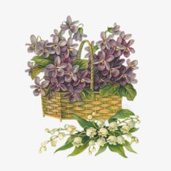 手绘紫色装饰植物花篮素材