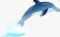 卡通海报动物鲸鱼素材
