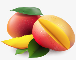 夏季水果两个黄桃素材