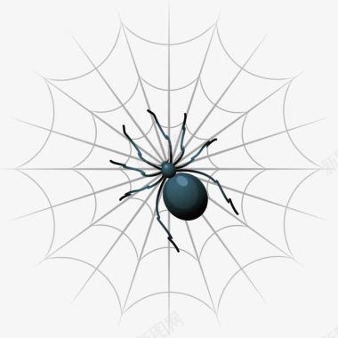 创意蜘蛛网和蜘蛛图标图标