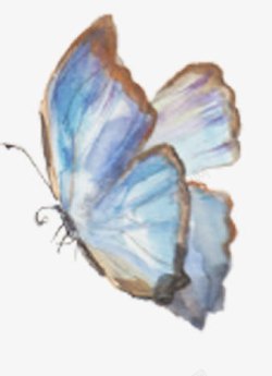 蓝色水彩手绘蝴蝶装饰素材