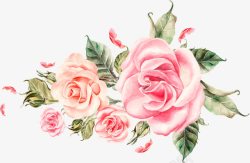 粉色手绘唯美花朵植物玫瑰素材